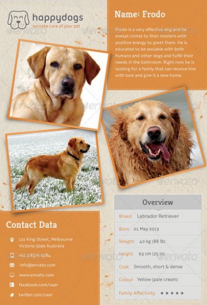 Missing Pet Poster Templates 13 Free Printable Word PDF